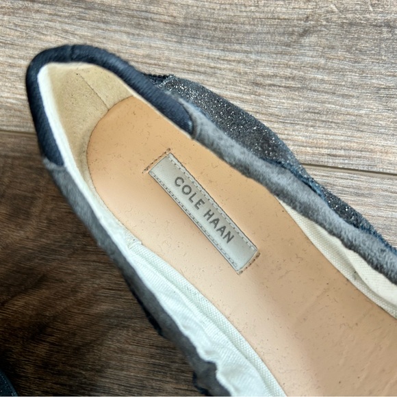 Cole Haan Shimmer Ballet Flat Metallic Glitter Travel Fold Shoe Mary Jane Kawaii - Picture 5 of 6